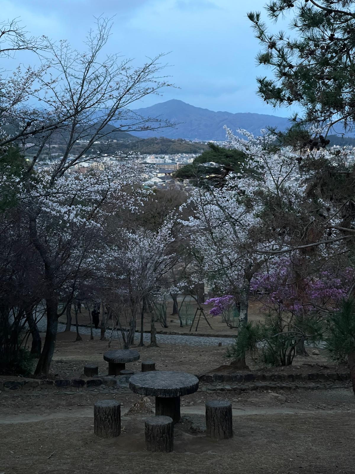 Kyoto 5