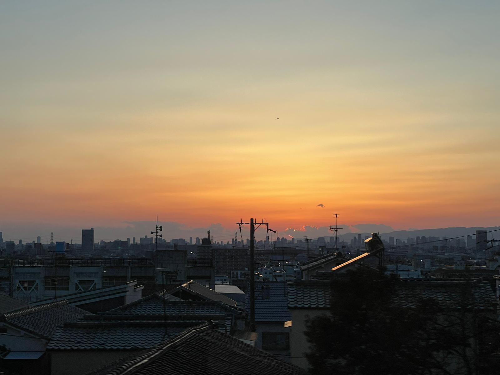 🦌 Nara - Photo 4
