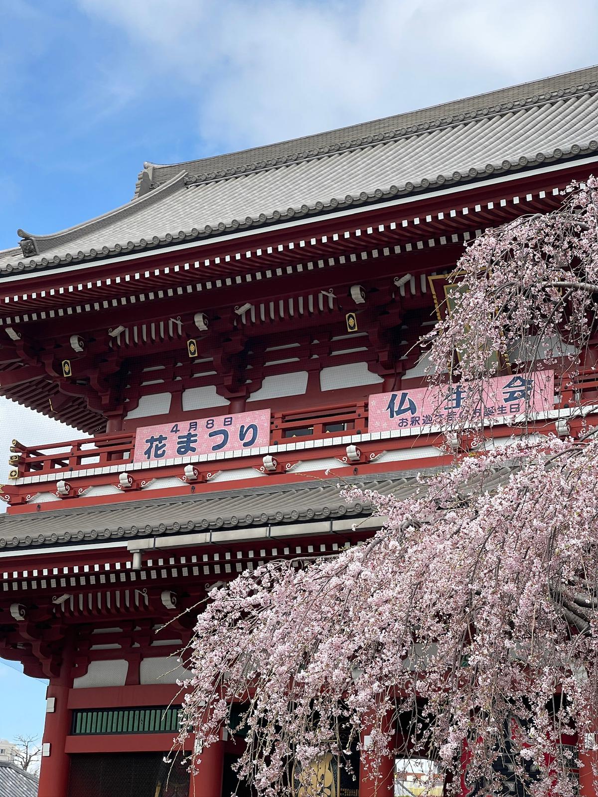 Tokyo 5